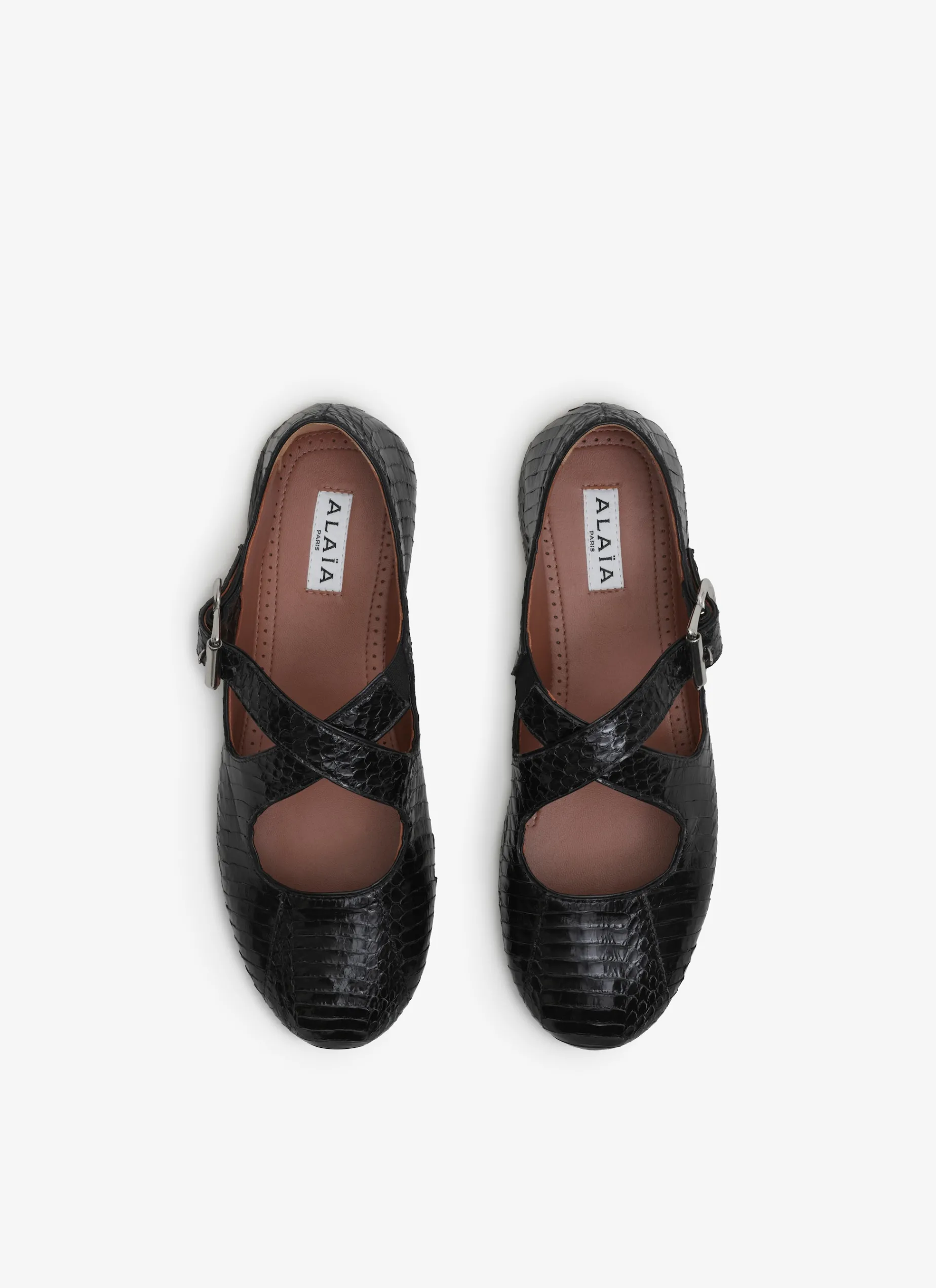 CRISS CROSS BALLET FLATS IN ELAPHE