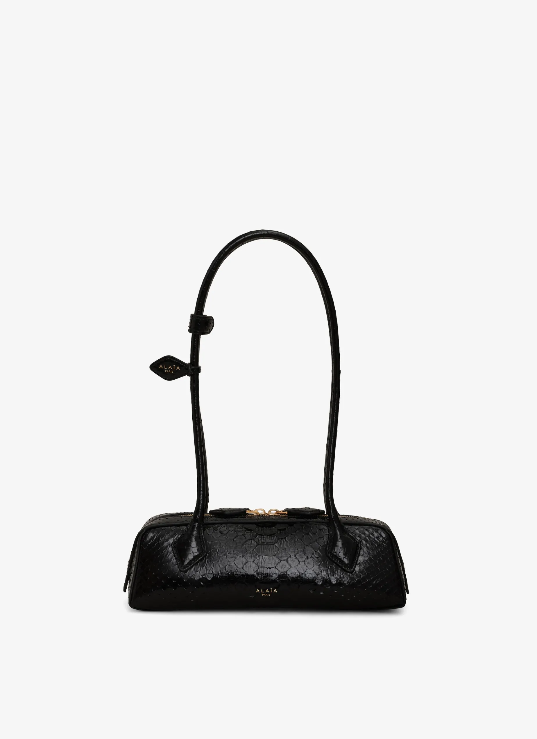 LE TECKEL SMALL BAG IN PYTHON