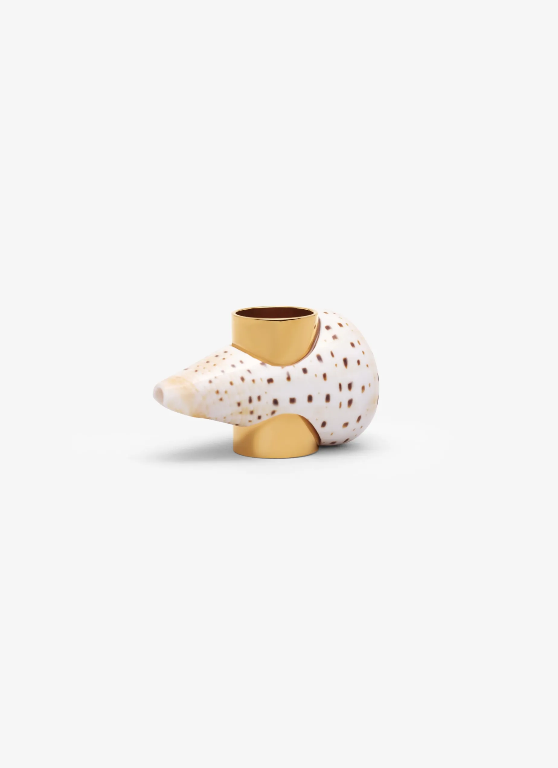 LONG SHELL RING