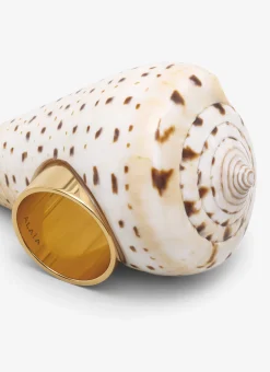 LONG SHELL RING