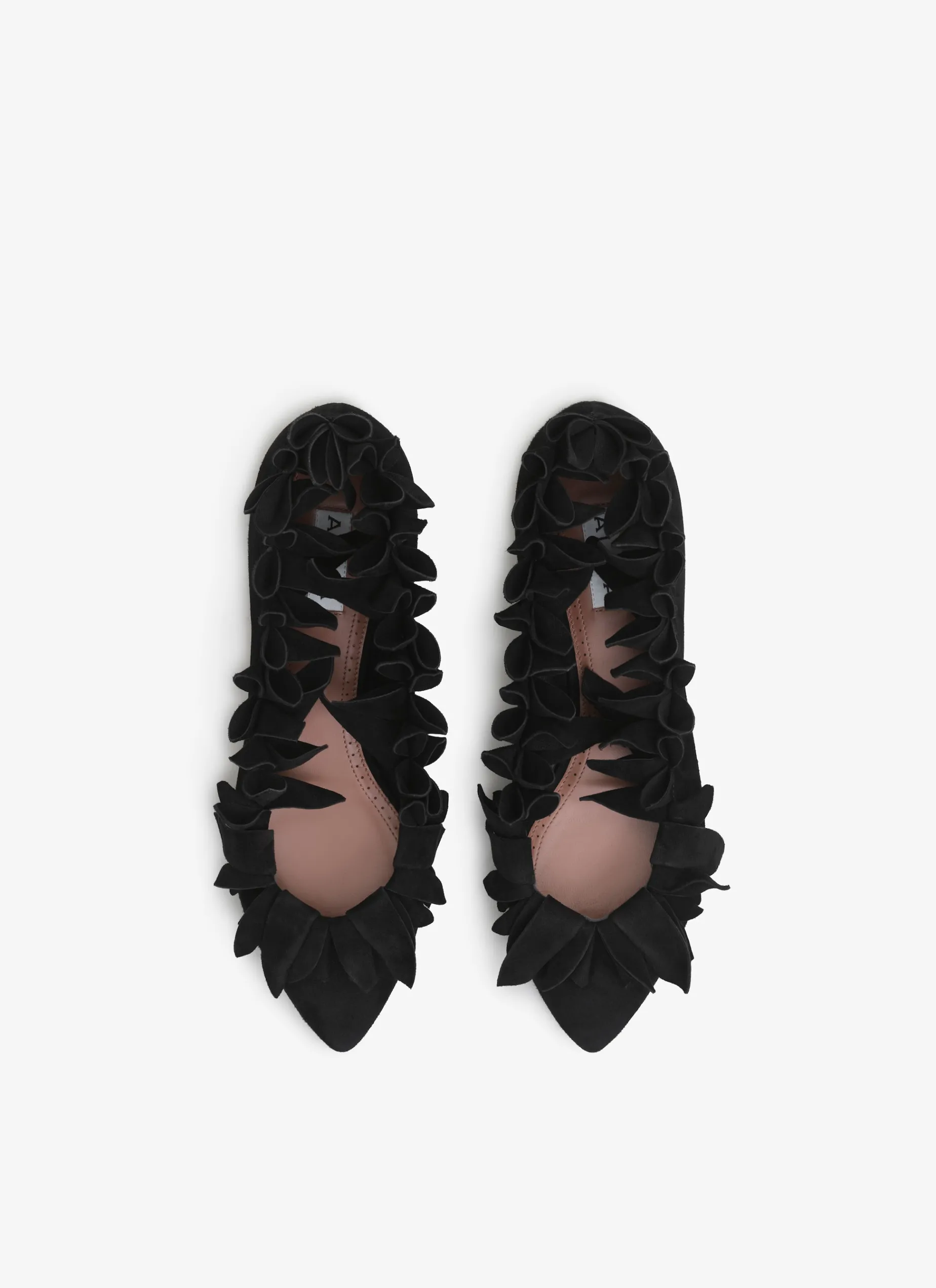 PETAL BALLET FLATS IN SUEDE GOATSKIN