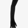 Vienne Lace Gloves